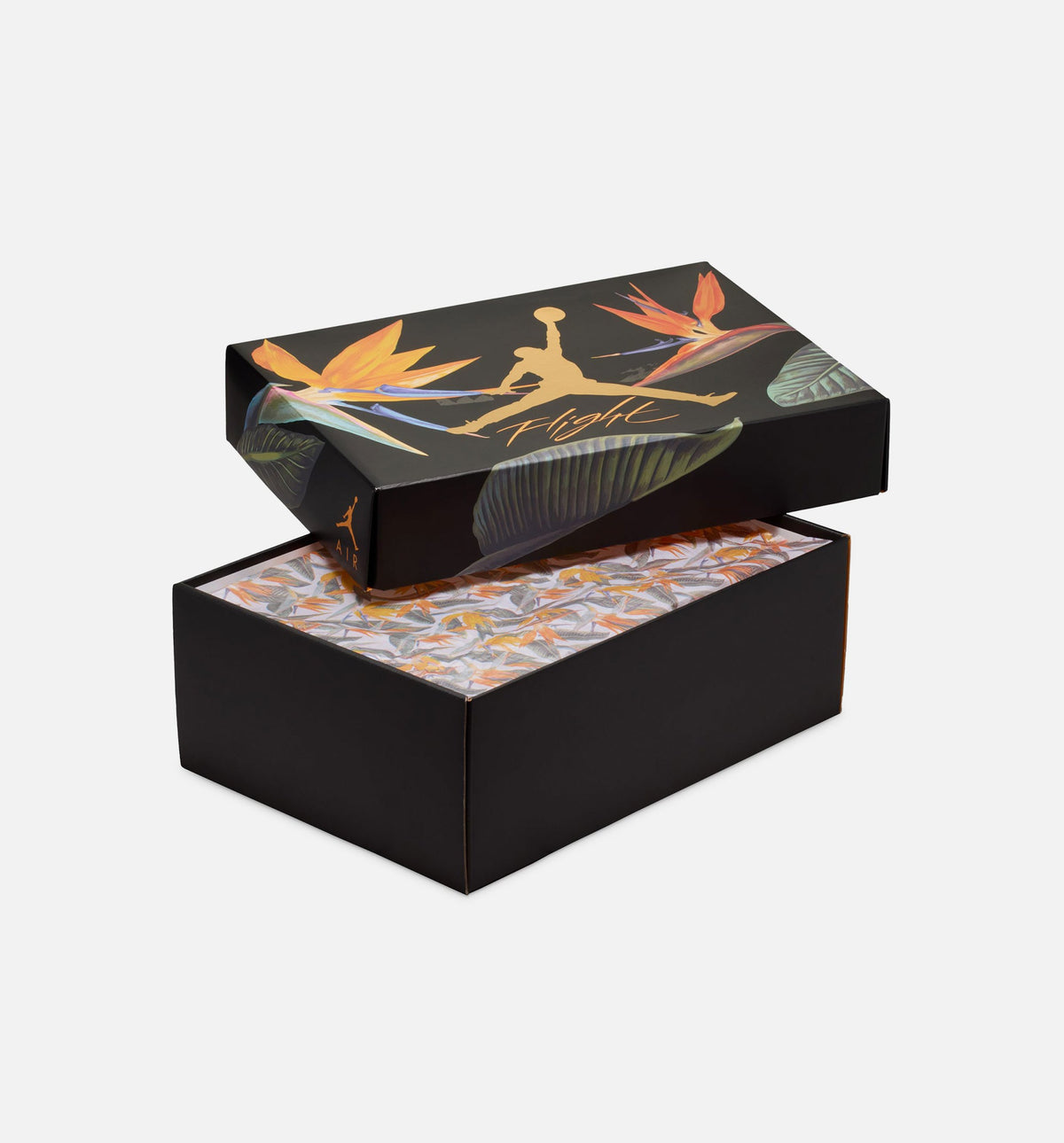 Air Jordan 4 Retro Women's Sneakers – Birds of Paradise